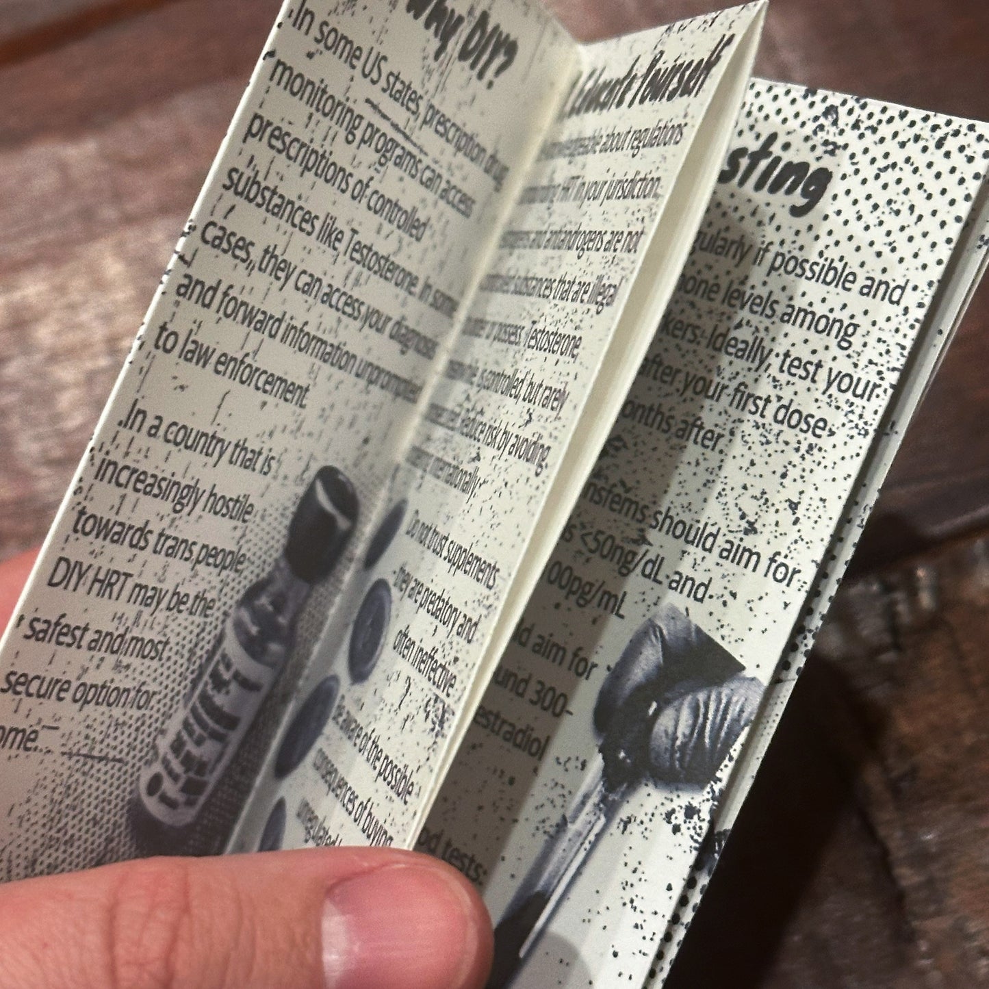 DIY HRT Zine (Digital)